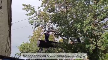 Итоги работы МБУ "Восток-Комсервис" за период с 18.09.2026 по 24.09.2026. На территории Володарского муниципального округа были произведены следующие работы: