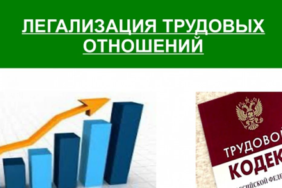 Легализация: инвестиция в качество жизни
