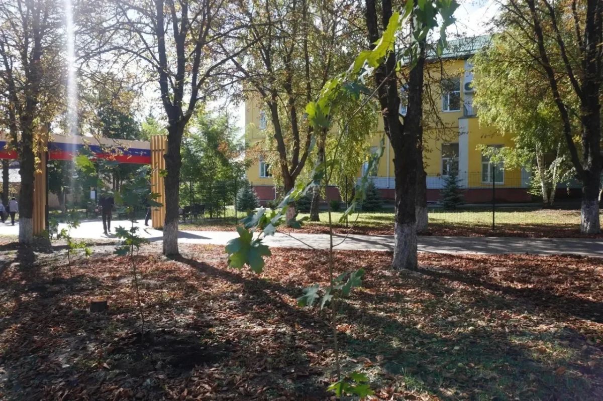 Посади своё дерево жизни. В Центральном парке Володарского прошла экологическая акция «Посади своё дерево жизни», инициированная единороссами Посади своё дерево жизни. В Центральном парке Володарского прошла экологическая акция «Посади своё дерево жизни», инициированная единороссами