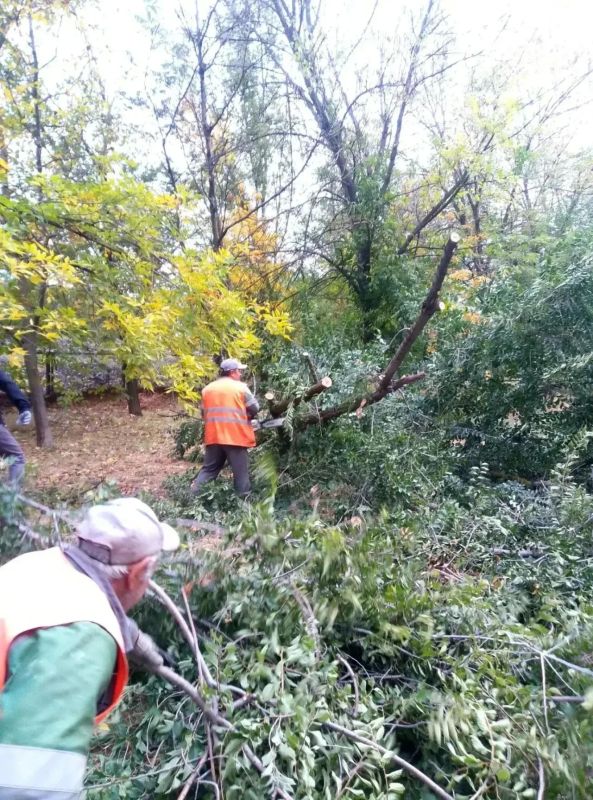 В Мариуполе продолжается работа по благоустройству территорий общего пользования В Мариуполе продолжается работа по благоустройству территорий общего пользования