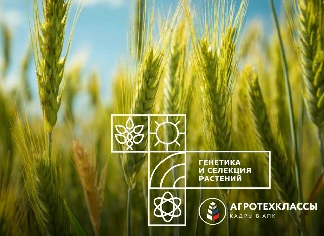 С 30 сентября по 2 октября 2026 года в РостовенаДону пройдёт межрегиональная программа «АгроТехКласс»