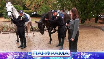 ������ ������ �����: ������ ������������� ��� ����������� ����� ������