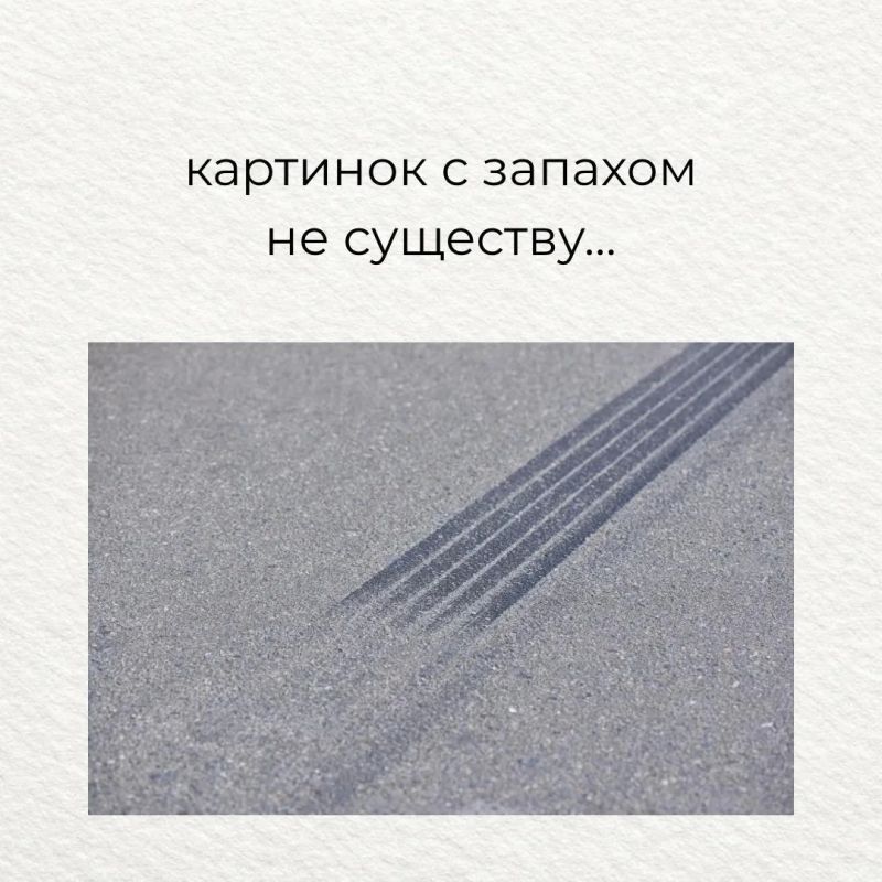 Коллеги из Минтранса Подмосковья решили доказать, что картинки с запахом всё-таки существуют — особенно в дорожно-транспортной теме Коллеги из Минтранса Подмосковья решили доказать, что картинки с запахом всё-таки существуют — особенно в дорожно-транспортной теме