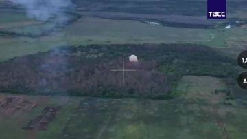 Расчет "Тосочки" ударил по командному пункту ВСУ на добропольском направлении, сообщили в МО РФ