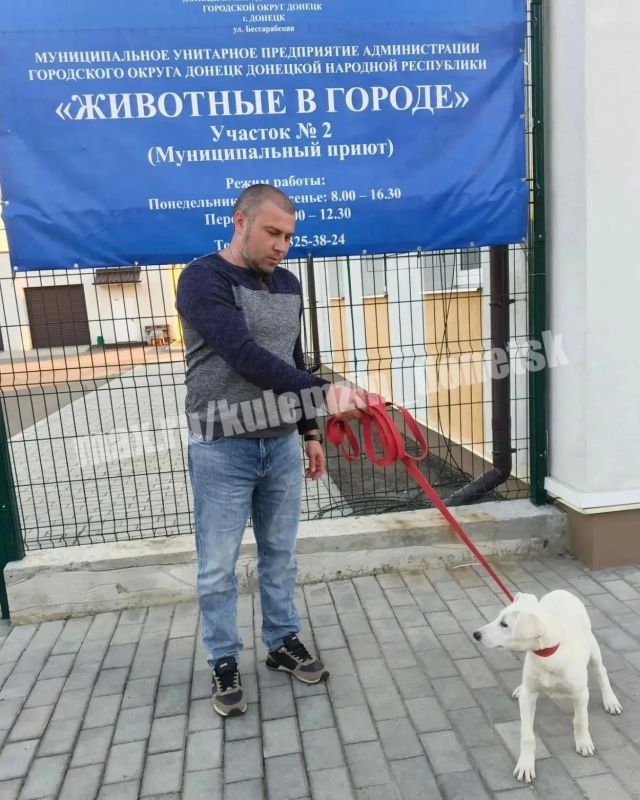 Алексей Кулемзин: Команда муниципального предприятия «Животные в городе» продолжает активную работу: специалисты отлавливают бездомных питомцев, оказывают им необходимую ветеринарную помощь и делают всё возможное, чтобы... Алексей Кулемзин: Команда муниципального предприятия «Животные в городе» продолжает активную работу: специалисты отлавливают бездомных питомцев, оказывают им необходимую ветеринарную помощь и делают всё возможное, чтобы...