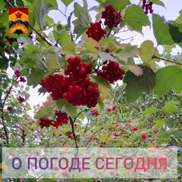Гидрометцентр сообщил о погоде в Шахтерском округе
