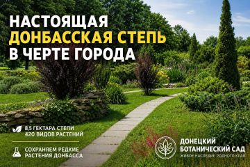 203 гектара зелени: Ботанический сад Донецка