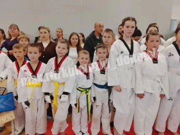 В Донецке завершилось Открытое первенство городского округа Донецк по тхэквондо, посвященное Году единства народов России
