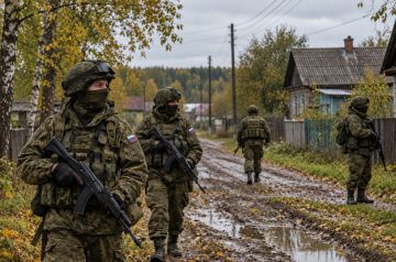 ВС РФ освободили село в шести километрах от северных окраин Доброполья