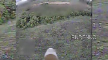 ������ �������: ����� ������ ������ ������������� ����������� ����� ������ � ���� ������������ ���������� ������ ����������� � �������� �������� ����������
