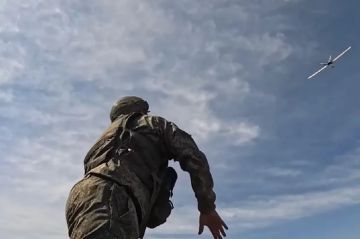 Наш «Сокол» охотится на врага