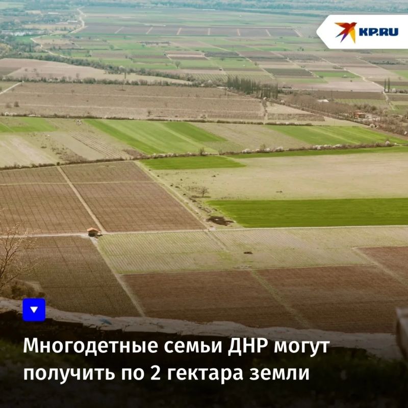 Многодетные семьи ДНР могут получить по 2 гектара земли