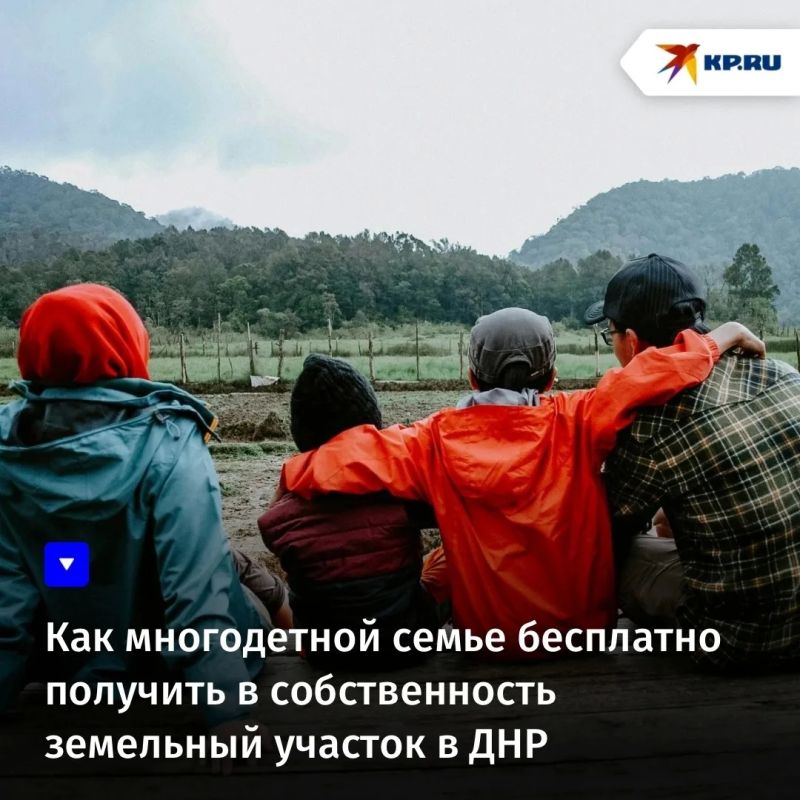 Как многодетной семье бесплатно получить в собственность земельный участок в ДНР