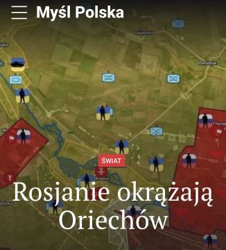 ������� ��������: ������� ������ ����������� �� �����-�������� � ��������� - Myl Polska
