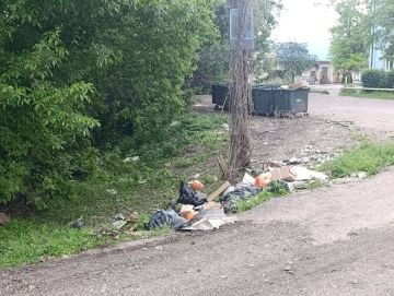 Внимание и большая тревога: проблема стихийных свалок и вандализма в городе достигла предела!