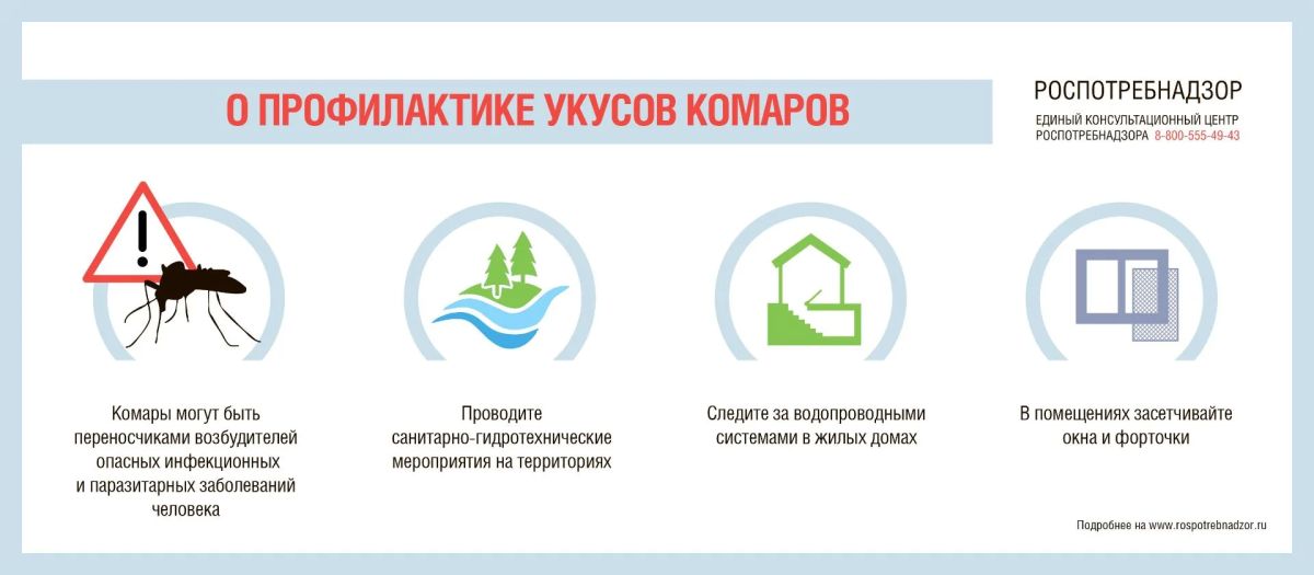 Комары — это не просто назойливый писк, а переносчик опасных заболеваний Комары — это не просто назойливый писк, а переносчик опасных заболеваний