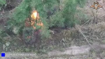 33 ��� ��������� ������� ����� � ������ ������ ���