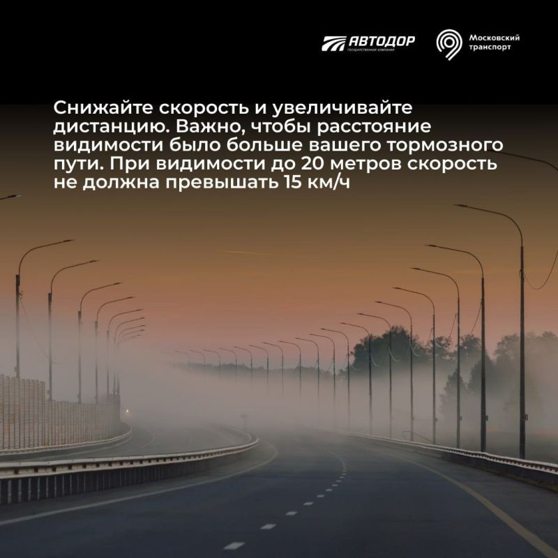 Как безопасно управлять автомобилем в условиях ограниченной видимости? Как безопасно управлять автомобилем в условиях ограниченной видимости?