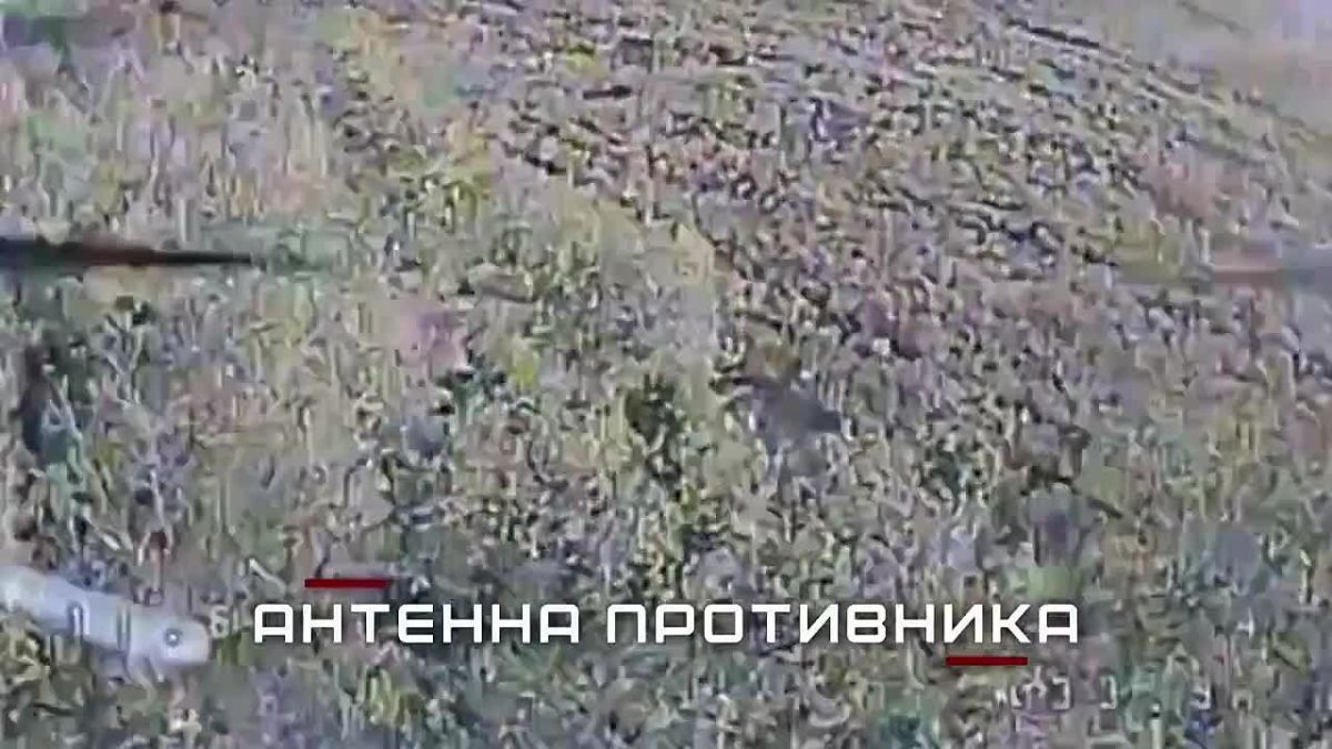 Группировка ЦЕНТР громит технику и пехоту врага в боях за Покровском, Мирноградом и в Днепропетровской области