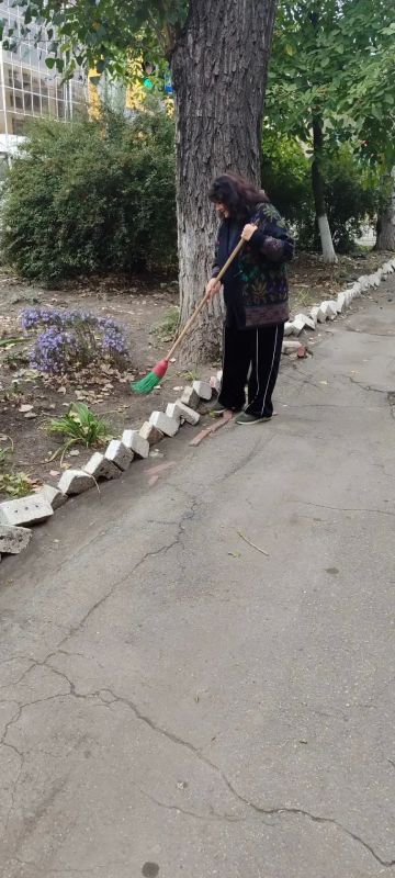 В Центрально-Городском внутригородском районе с целью реализации проекта Единой России «Городская среда» прошла еженедельная акция «Чистый четверг» В Центрально-Городском внутригородском районе с целью реализации проекта Единой России «Городская среда» прошла еженедельная акция «Чистый четверг»