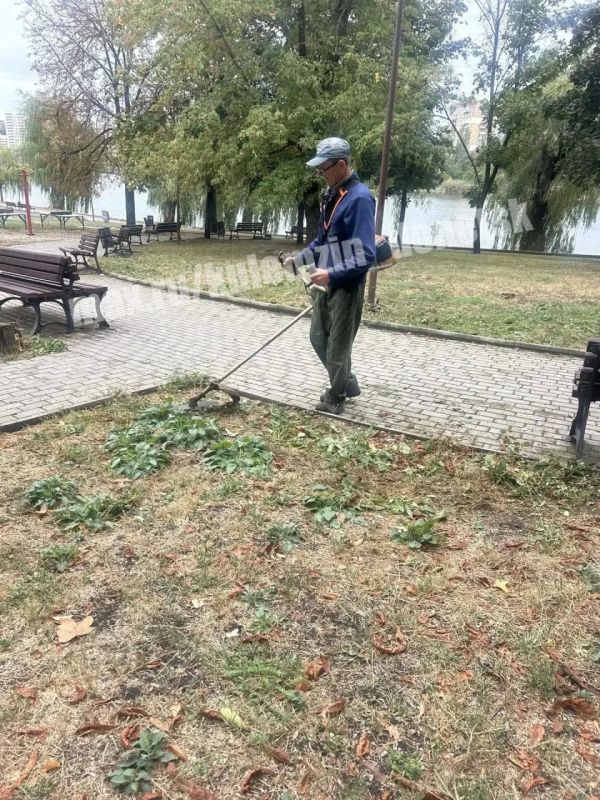 Сотрудники Дирекции парков продолжают работу по благоустройству территорий Сотрудники Дирекции парков продолжают работу по благоустройству территорий