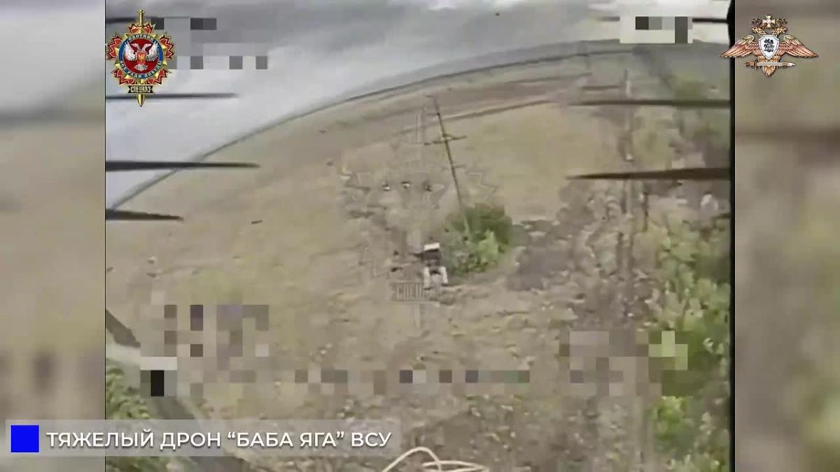 «Охотник» уничтожил БЛА «Баба Яга» ВСУ