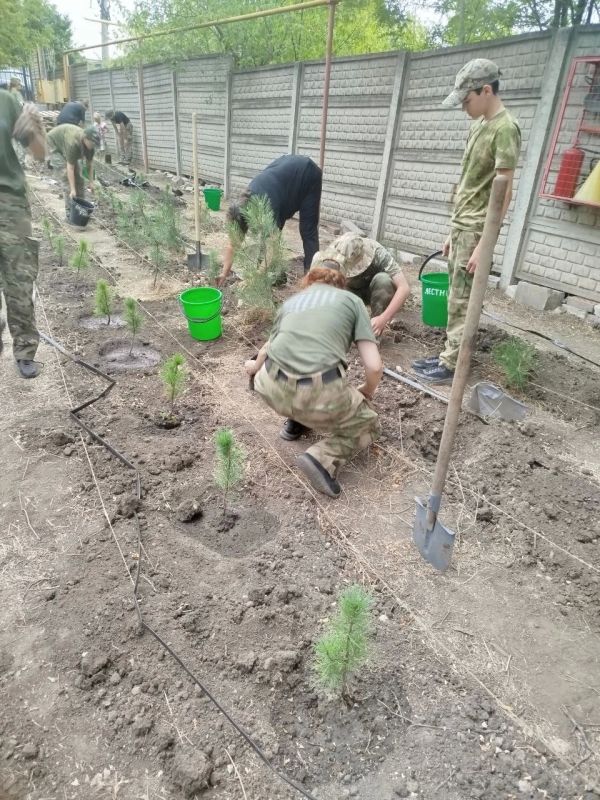 В Донецке состоялась высадка деревьев в рамках акции «Сохраним лес» В Донецке состоялась высадка деревьев в рамках акции «Сохраним лес»