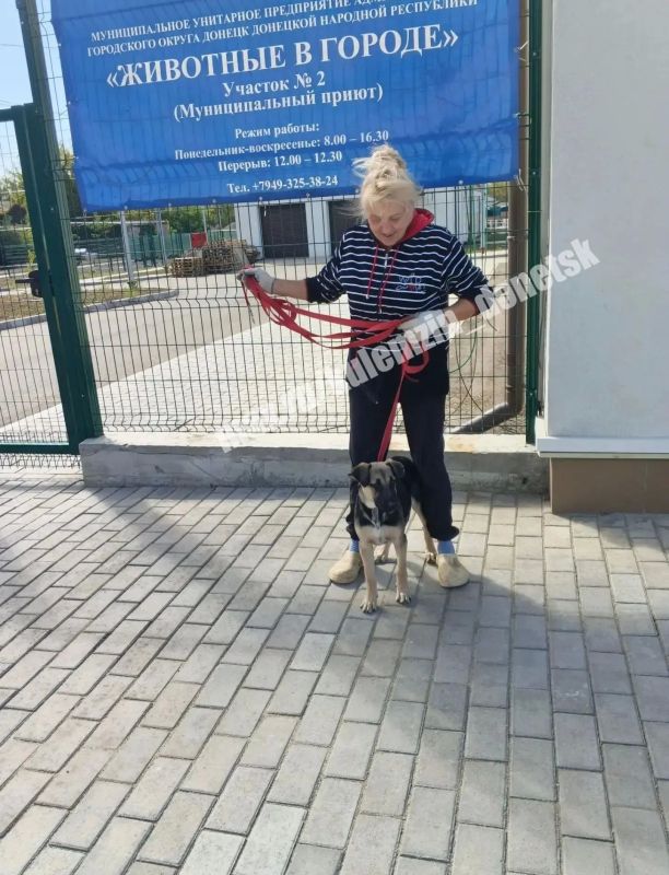 Команда муниципального предприятия «Животные в городе» продолжает свою ежедневную работу, заботясь о беспризорных питомцах Команда муниципального предприятия «Животные в городе» продолжает свою ежедневную работу, заботясь о беспризорных питомцах