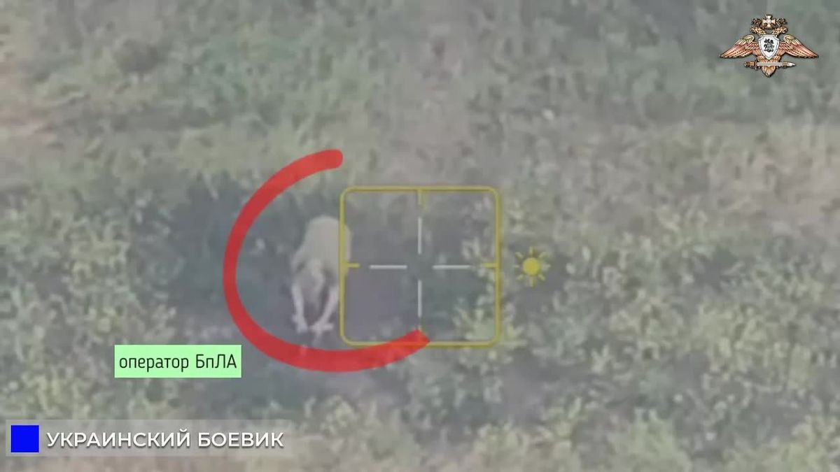 238 бригада уничтожила антенну и ПУ БЛА ВСУ