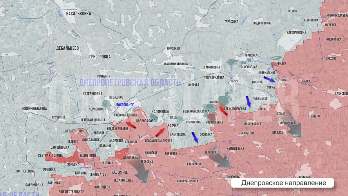 Олег Царёв: Фронтовая сводка 3 октября Олег Царёв: Фронтовая сводка 3 октября