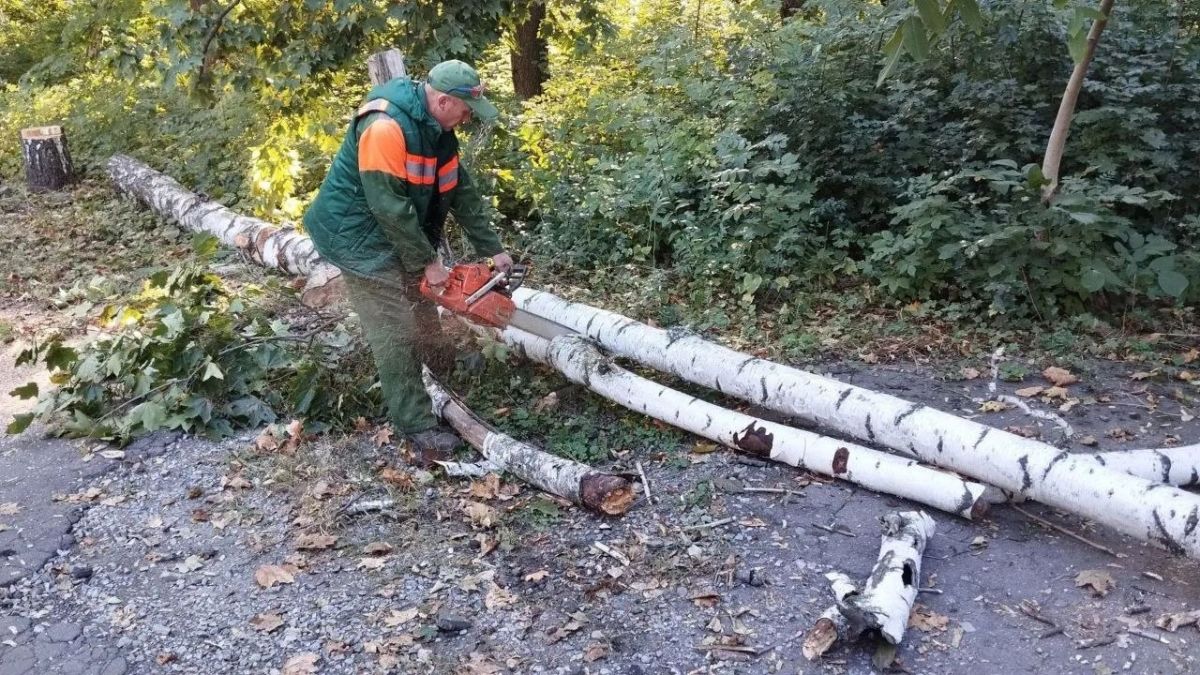 К субботнику присоединились предприятия и учреждения Кировского внутригородского района города Донецк! К субботнику присоединились предприятия и учреждения Кировского внутригородского района города Донецк!