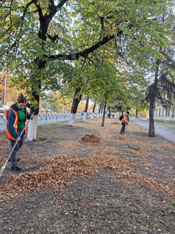 Коммунальщики Снежного продолжают благоустраивать территории общего пользования Коммунальщики Снежного продолжают благоустраивать территории общего пользования