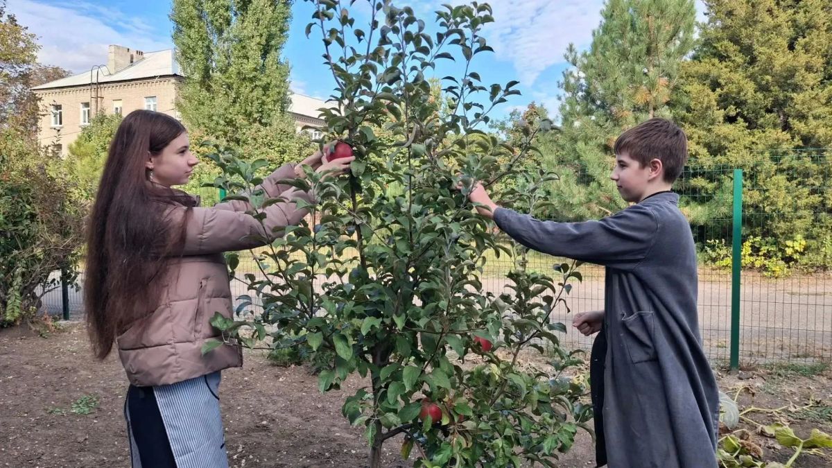 В общеобразовательной школе № 7 прошел агроурок, во время которого ребята познакомились с нелегким, но очень важным трудом аграриев и получили полезный опыт В общеобразовательной школе № 7 прошел агроурок, во время которого ребята познакомились с нелегким, но очень важным трудом аграриев и получили полезный опыт