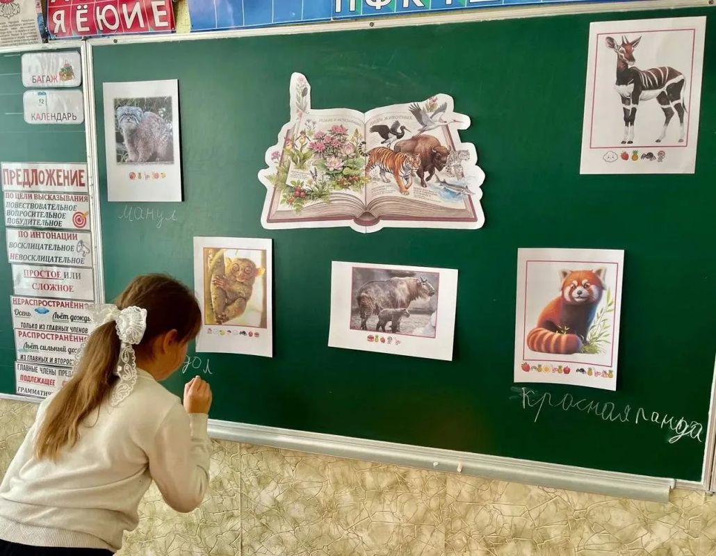 Экологический час «И все они – создания природы» Экологический час «И все они – создания природы»