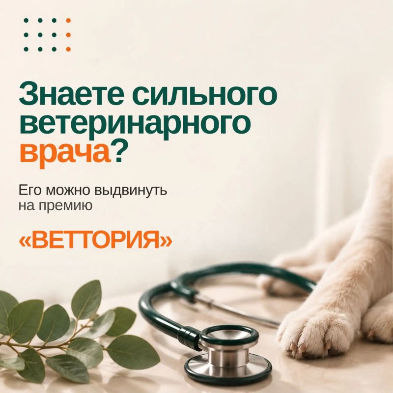 Знаете сильного ветеринарного врача? Расскажите ему о «ВЕТТОРИИ»
