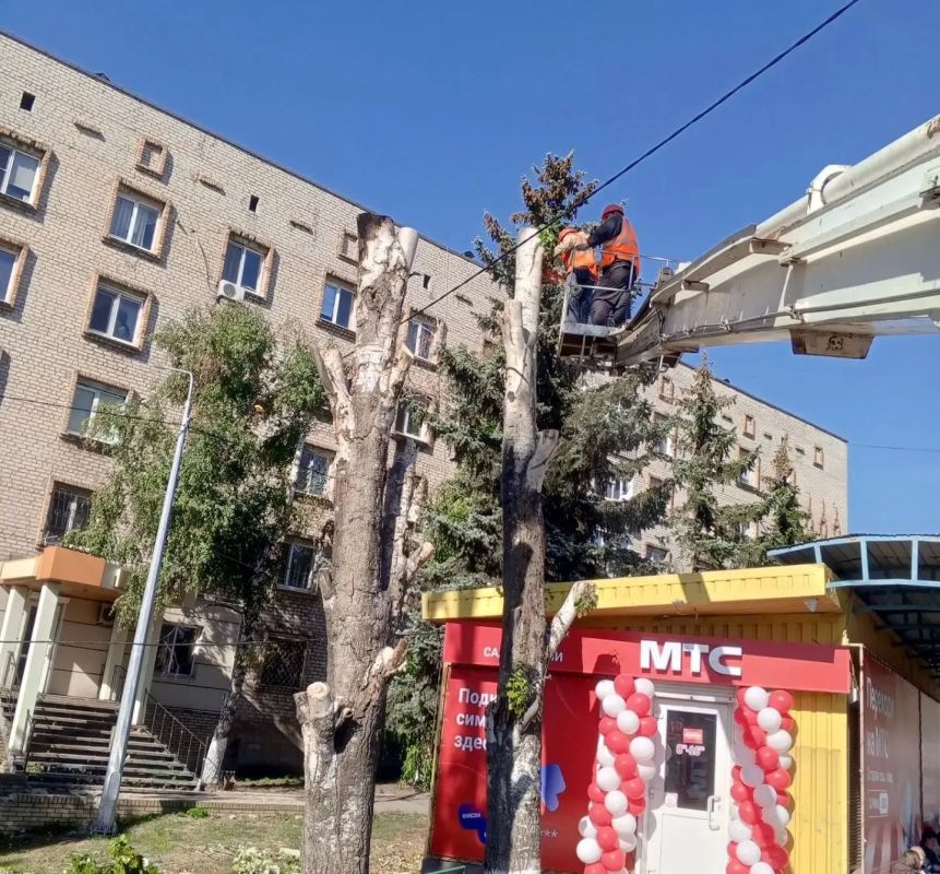 Коммунальщики Снежного продолжают благоустраивать территории общего пользования Коммунальщики Снежного продолжают благоустраивать территории общего пользования