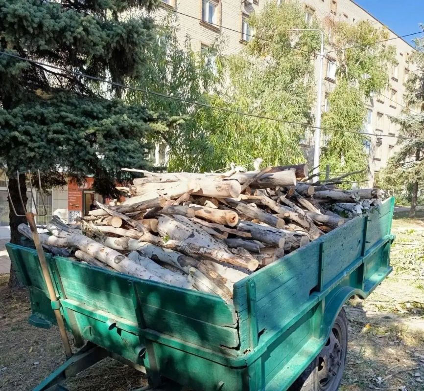 Коммунальщики Снежного продолжают благоустраивать территории общего пользования Коммунальщики Снежного продолжают благоустраивать территории общего пользования