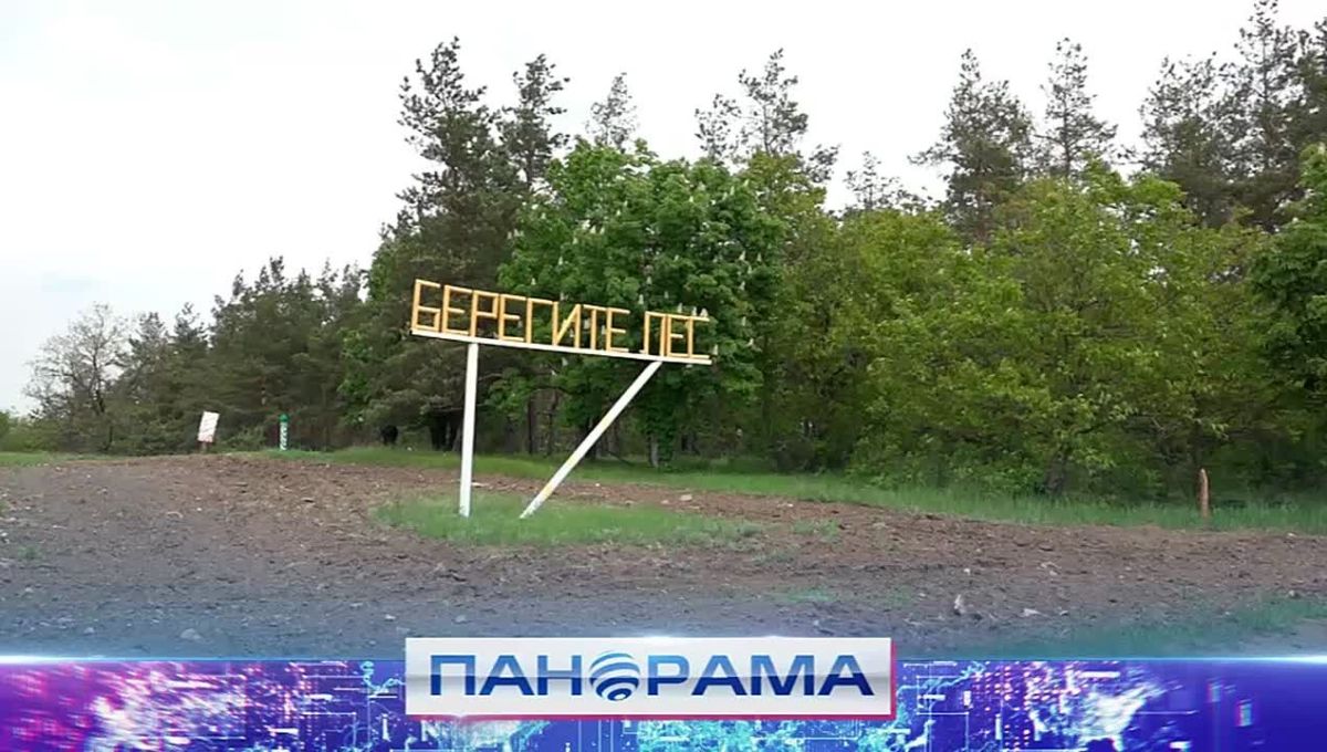 В Республике стартовала инвентаризация лесных культур