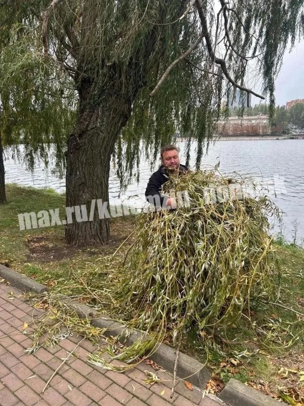 Команда Дирекции парков продолжает осенние работы по благоустройству территорий Команда Дирекции парков продолжает осенние работы по благоустройству территорий