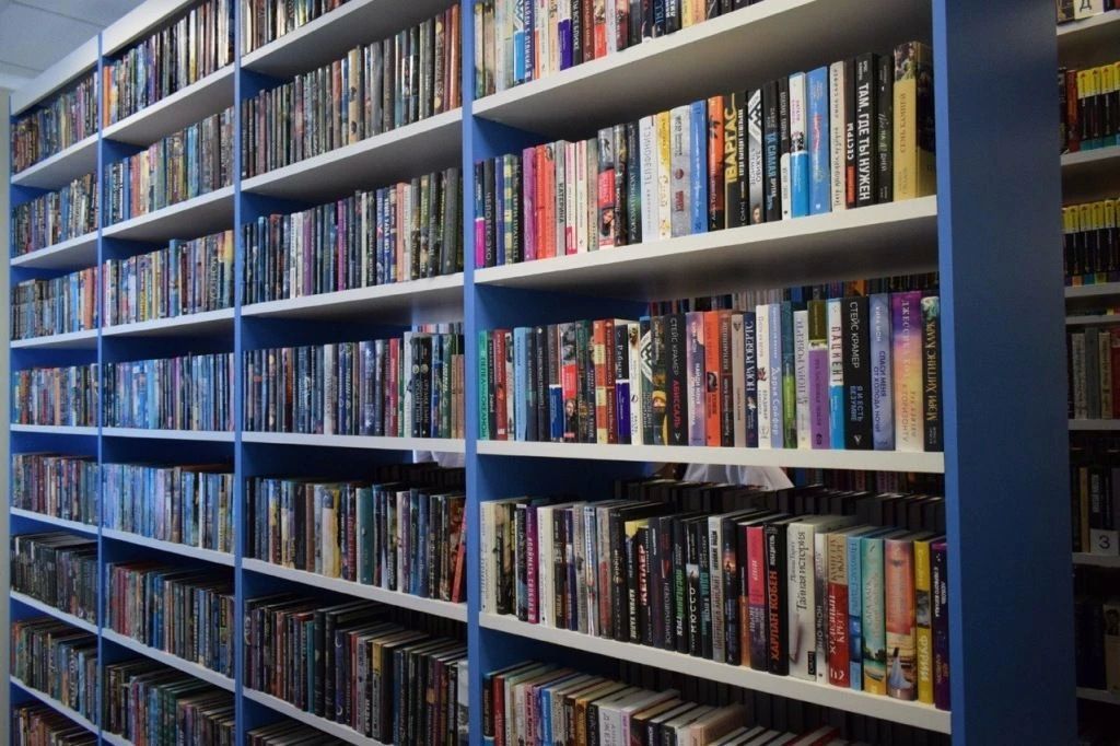 В библиотечные фонды ДНР поступило более 107 тысяч новых книг