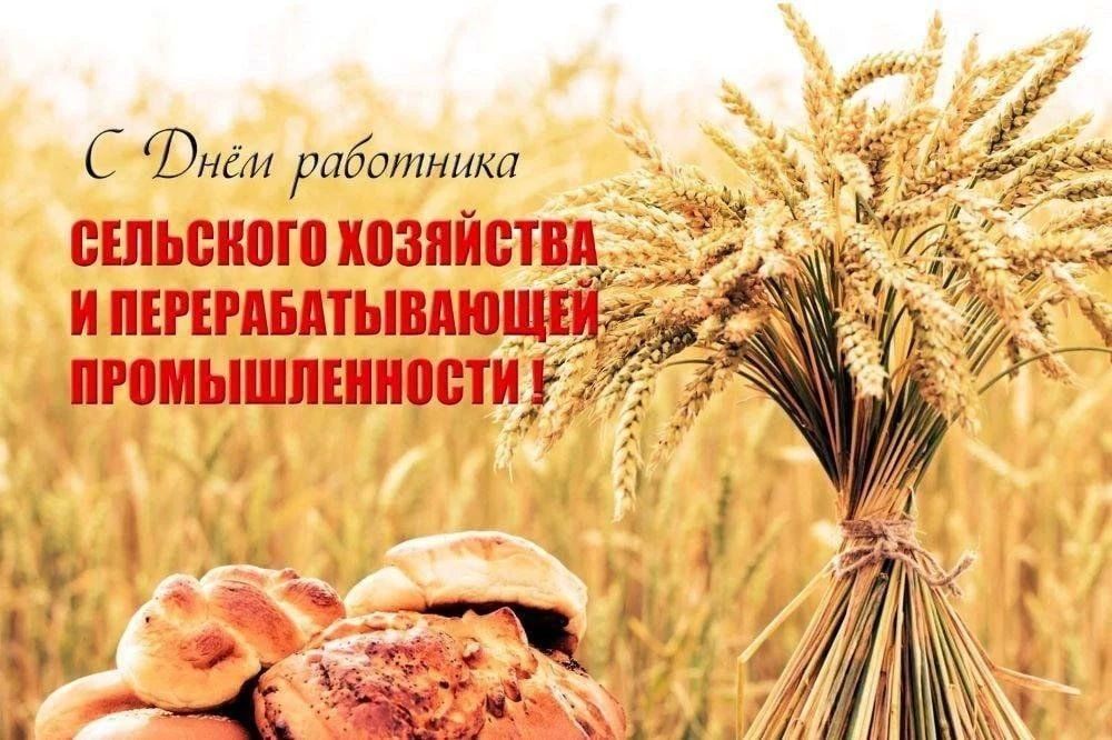 Уважаемые труженики и ветераны сельского хозяйства и перерабатывающей промышленности!