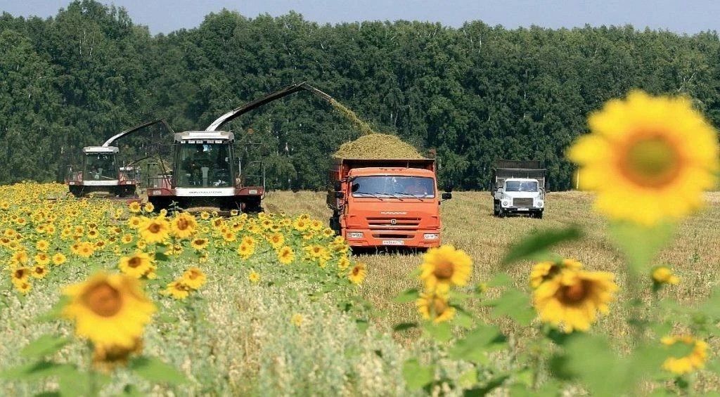 В городском округе Докучаевск полным ходом идет уборочная кампания