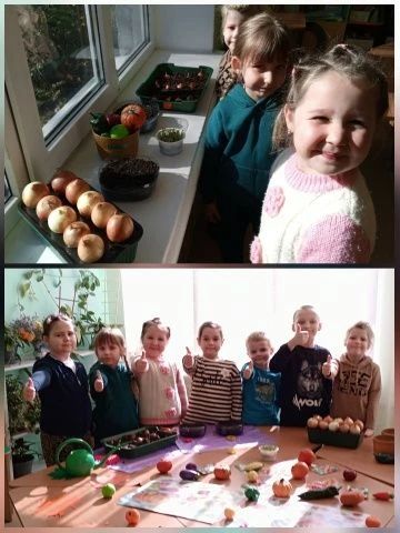 детском саду № 4 «Светлячок» в преддверии Дня работников сельского хозяйства дошколят познакомили с нелегким, но почетным трудом аграриев