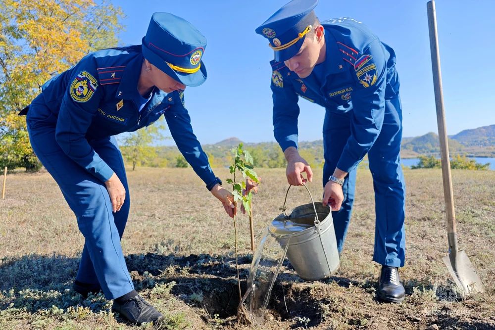 Наследие службы: в Донецке высадили аллею к вековому юбилею Госпожнадзора Наследие службы: в Донецке высадили аллею к вековому юбилею Госпожнадзора