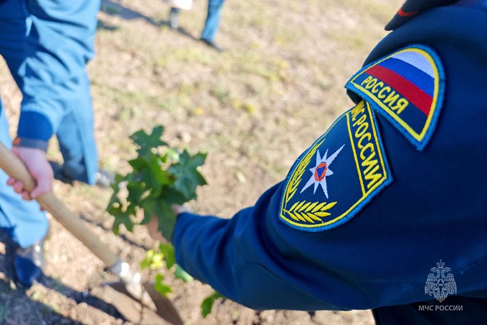 Наследие службы: в Донецке высадили аллею к вековому юбилею Госпожнадзора Наследие службы: в Донецке высадили аллею к вековому юбилею Госпожнадзора