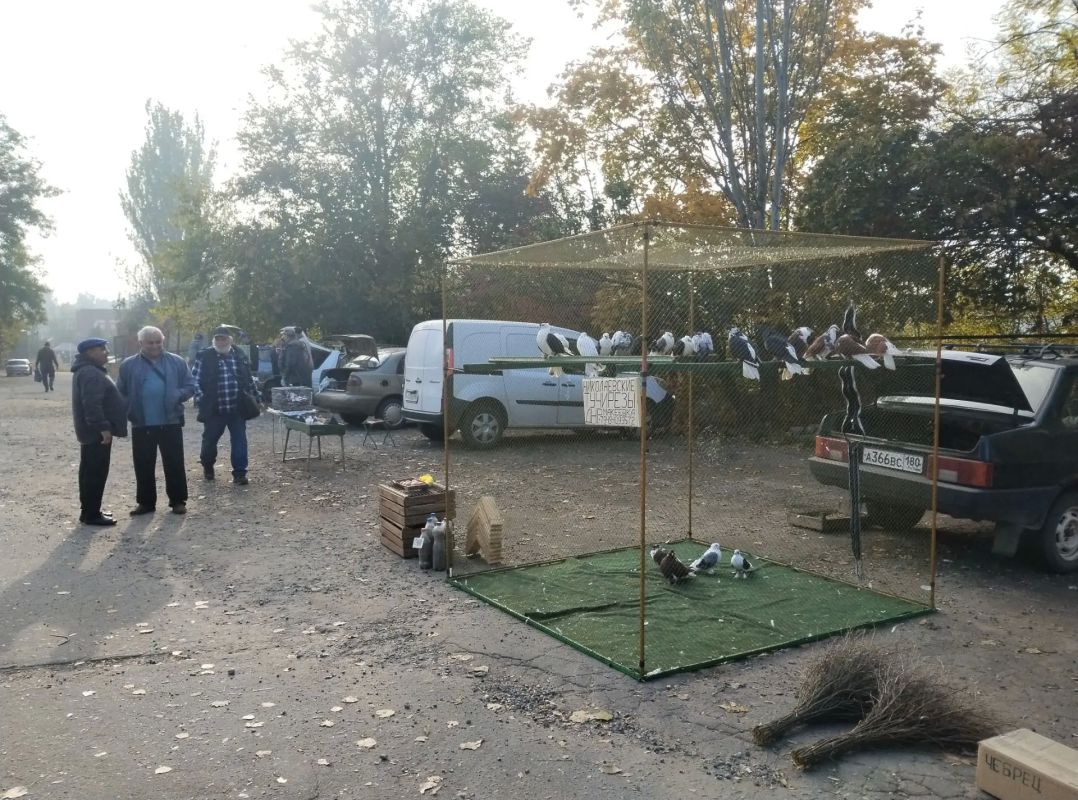 В Червоногвардейском районе Макеевки прошла выставка голубей В Червоногвардейском районе Макеевки прошла выставка голубей