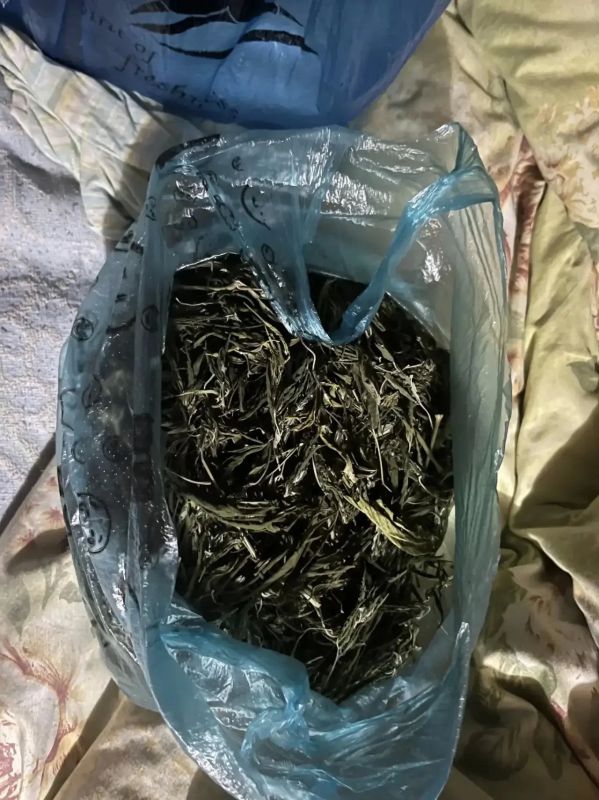 В Старобешевском м.о. полицейские пресекли два факта незаконного оборота наркотиков В Старобешевском м.о. полицейские пресекли два факта незаконного оборота наркотиков