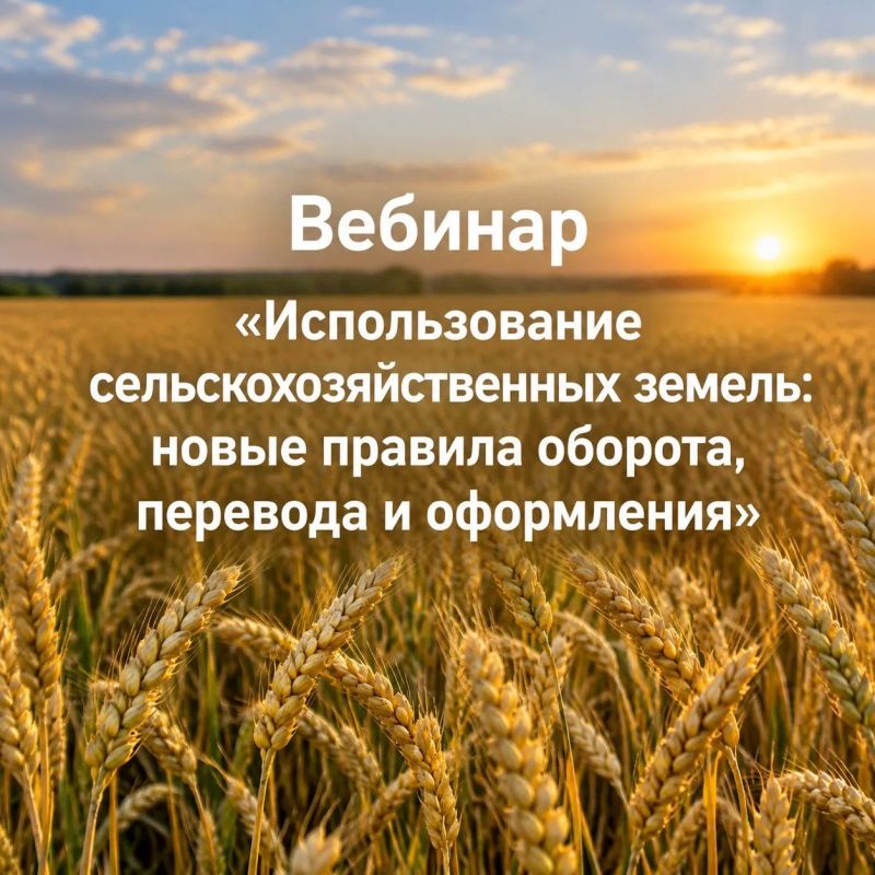 Администрация информирует о проведении Всероссийского практического вебинара на тему: