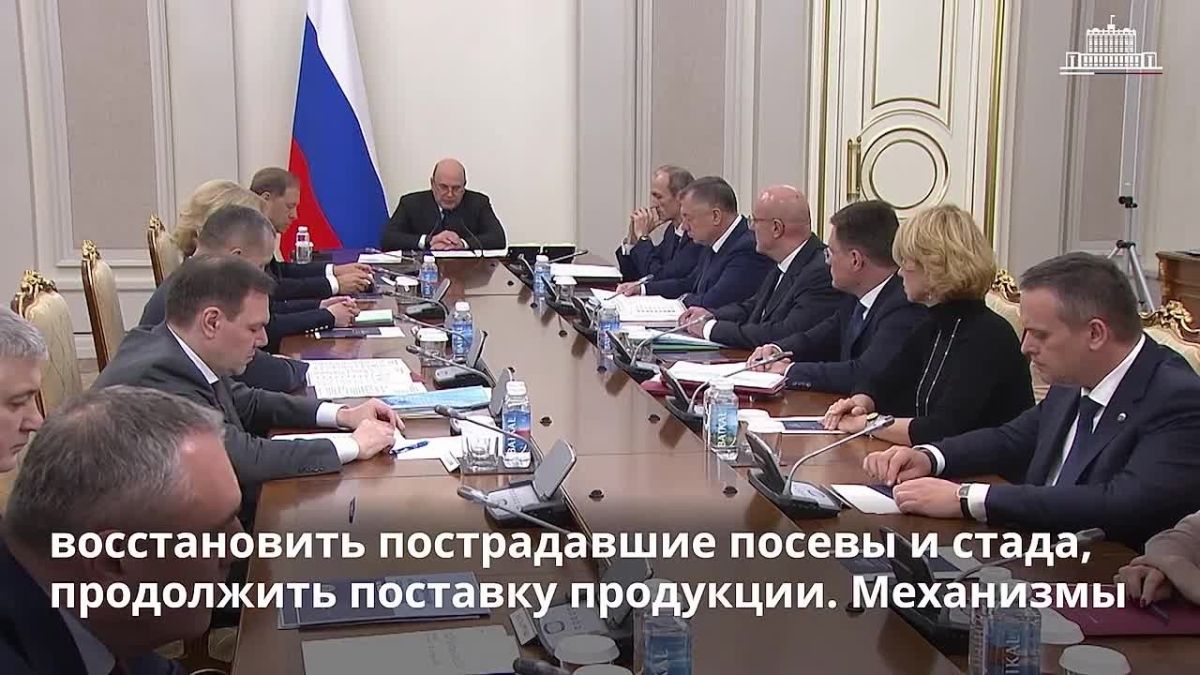 Агрострахование для воссоединенных регионов: как это будет работать?