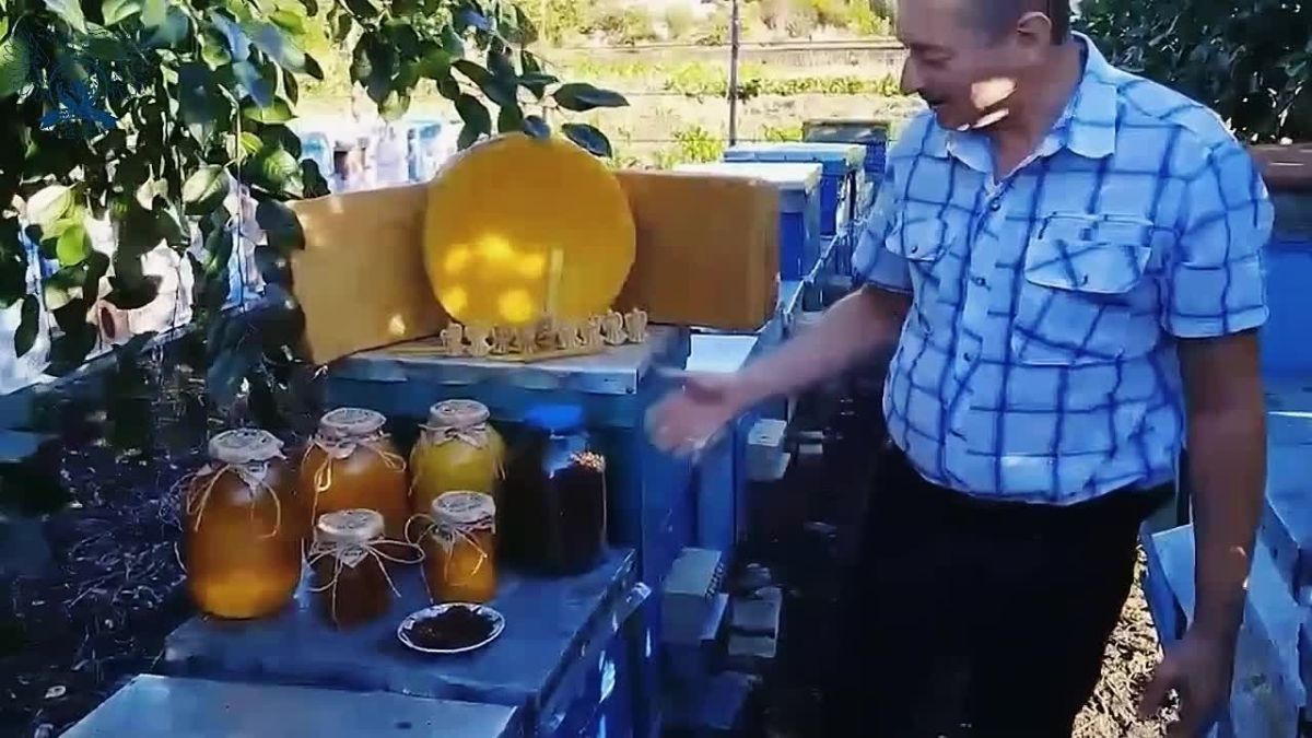 От мечты к собственному делу: как социальный контракт помог жителю Волновахского муниципального округа